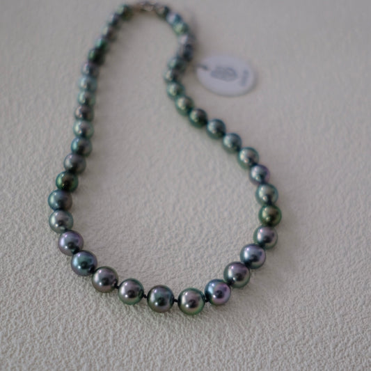 Tahitian Starla Necklace, 8.2-10.9mm, Pearl Necklace, GUILD Certificate