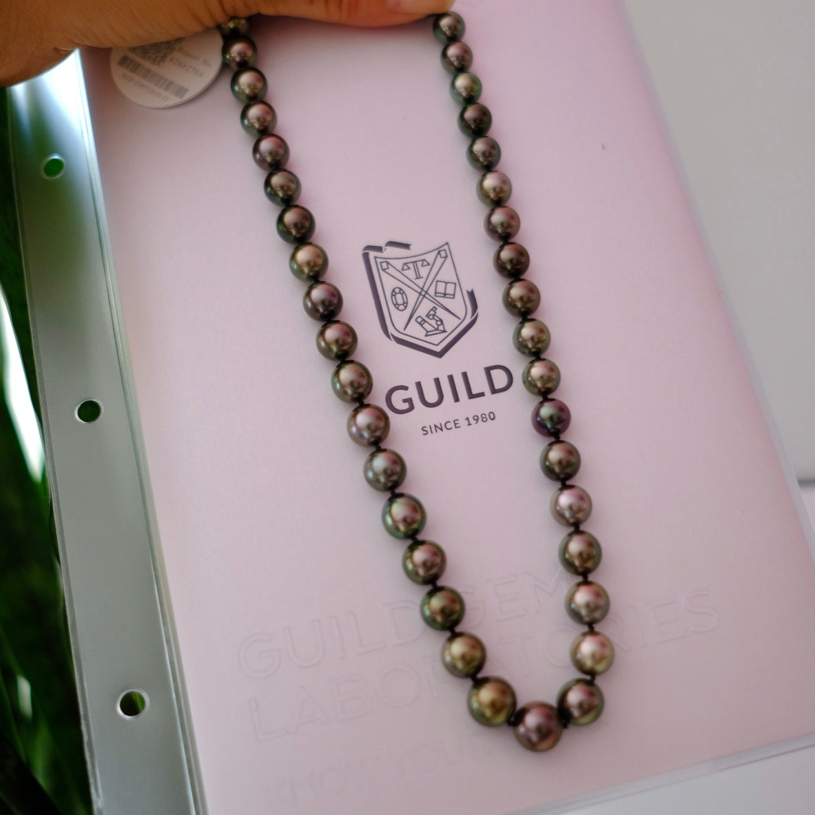 Tahitian Peacock Necklace, 8.3-10.9mm, Pearl Necklace, GUILD Certificate